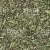 Menta