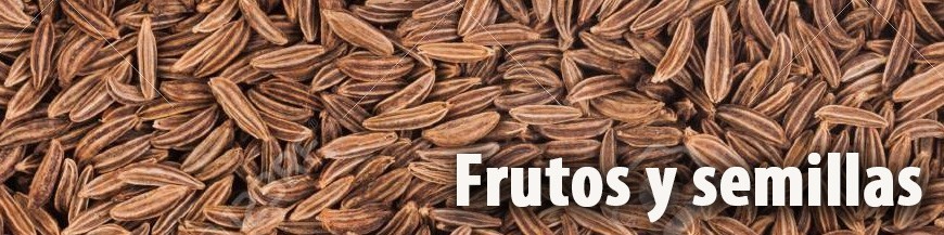 Frutos y semillas · Azafranes Bernardino